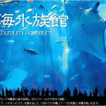 oki-churaumi750x470